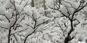 北京2020年冬天的第一场雪作文